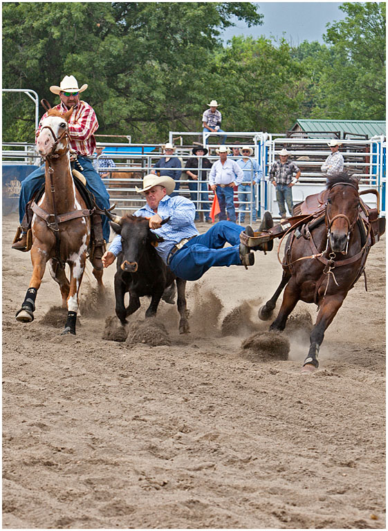 Montgomery Rodeo No 3 PRES s